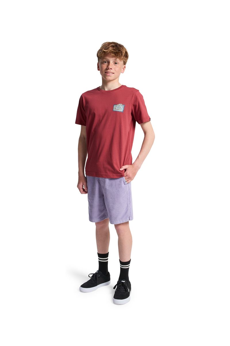 QUIKSILVER HERITAGE SS Burnt Russet - Solid ERKEK ÇOCUK T-SHIRT