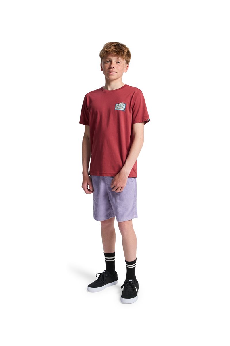 QUIKSILVER HERITAGE SS Burnt Russet - Solid ERKEK ÇOCUK T-SHIRT