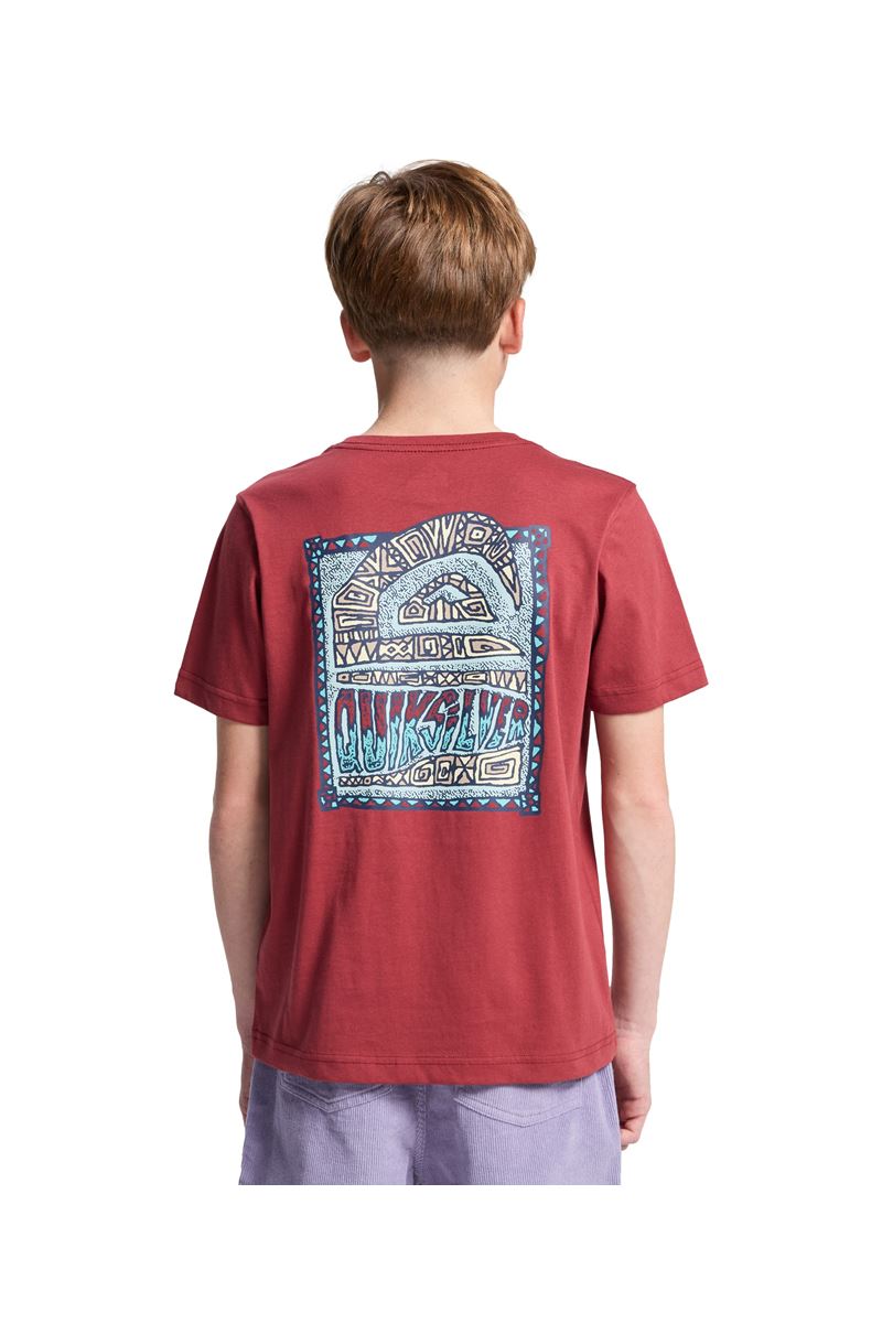 QUIKSILVER HERITAGE SS Burnt Russet - Solid ERKEK ÇOCUK T-SHIRT