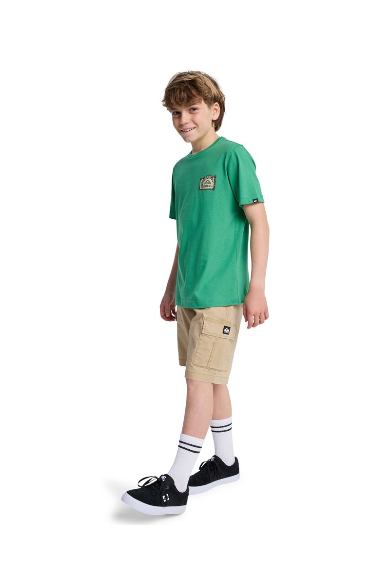 QUIKSILVER HERITAGE SS Leprechaun - Solid ERKEK ÇOCUK T-SHIRT