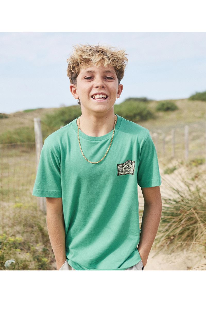 QUIKSILVER HERITAGE SS Leprechaun - Solid ERKEK ÇOCUK T-SHIRT