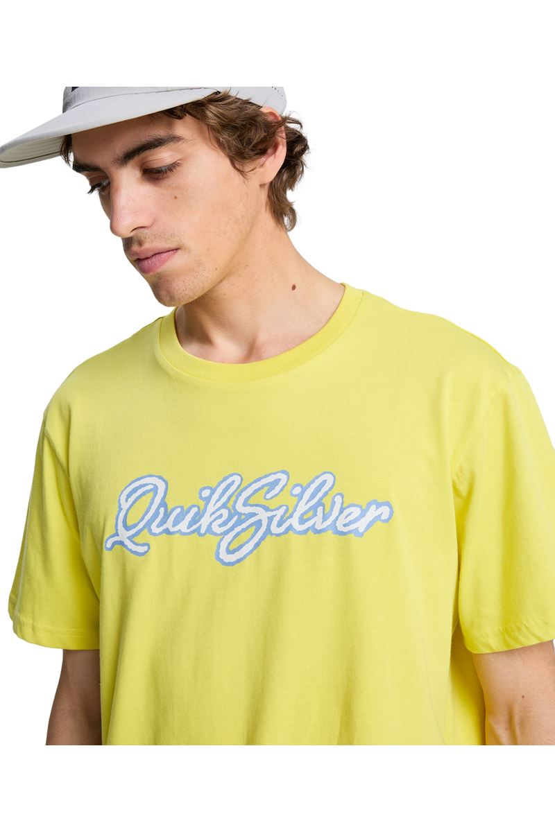 QUIKSILVER MALIBU Acacia - Solid ERKEK T-SHIRT