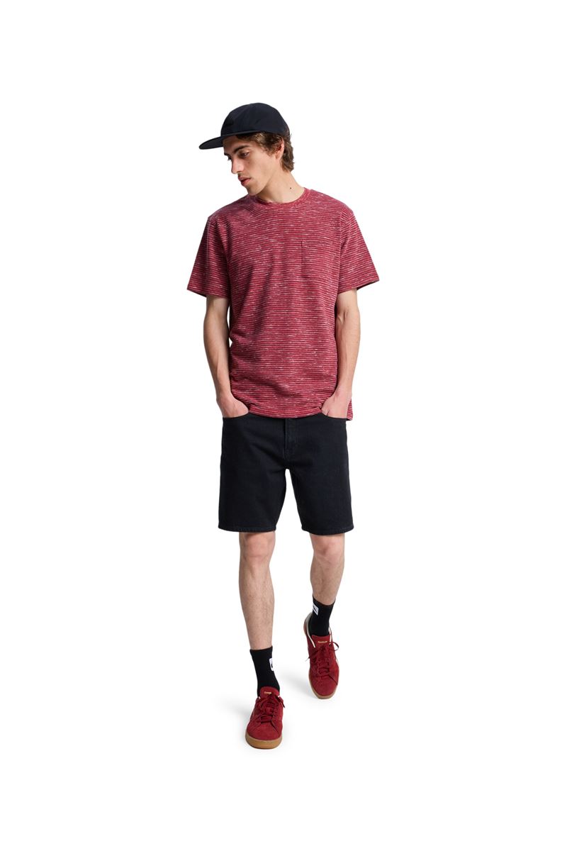 QUIKSILVER LOPAZ STRIPED S Burnt Russet - Stripe_1 ERKEK T-SHIRT