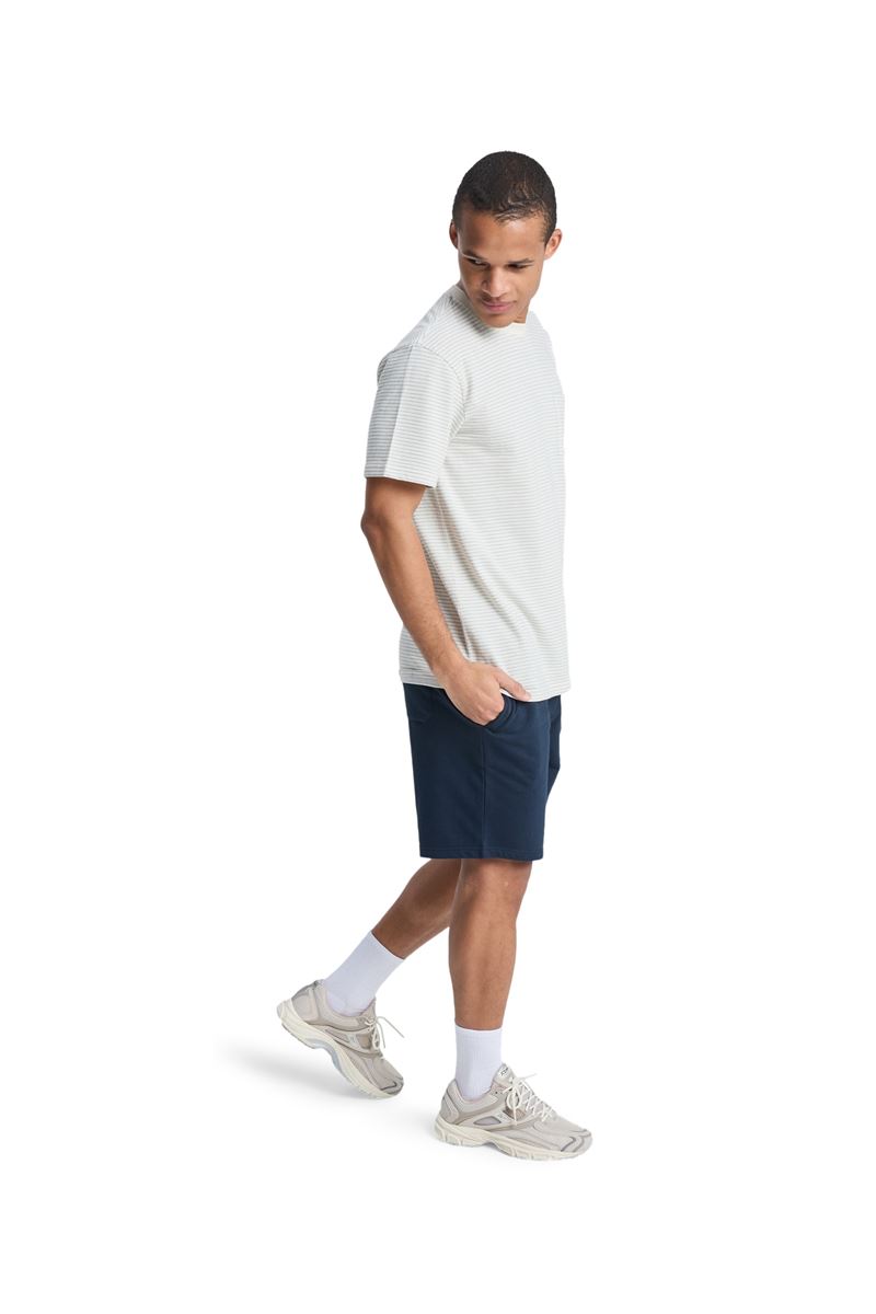 QUIKSILVER LOPAZ STRIPED S Snow White - Stripe_1 ERKEK T-SHIRT