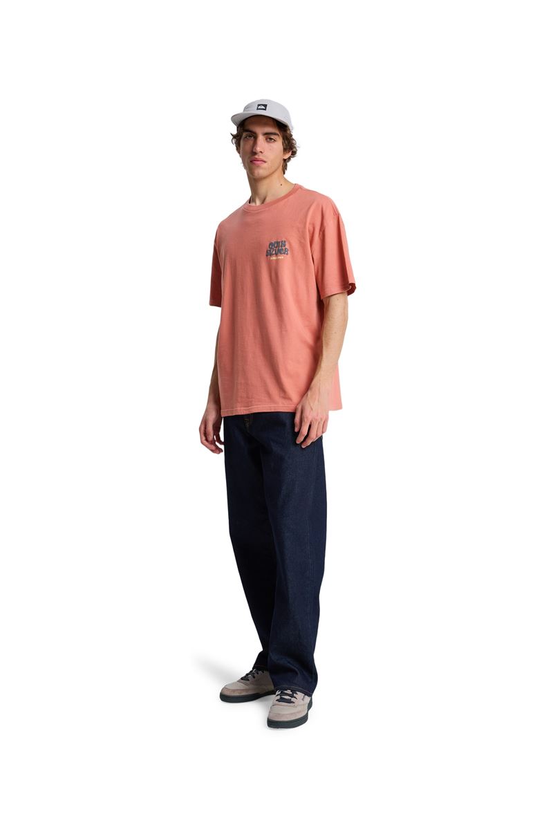 QUIKSILVER FRUITS TIDE Desert Sand - Solid ERKEK T-SHIRT