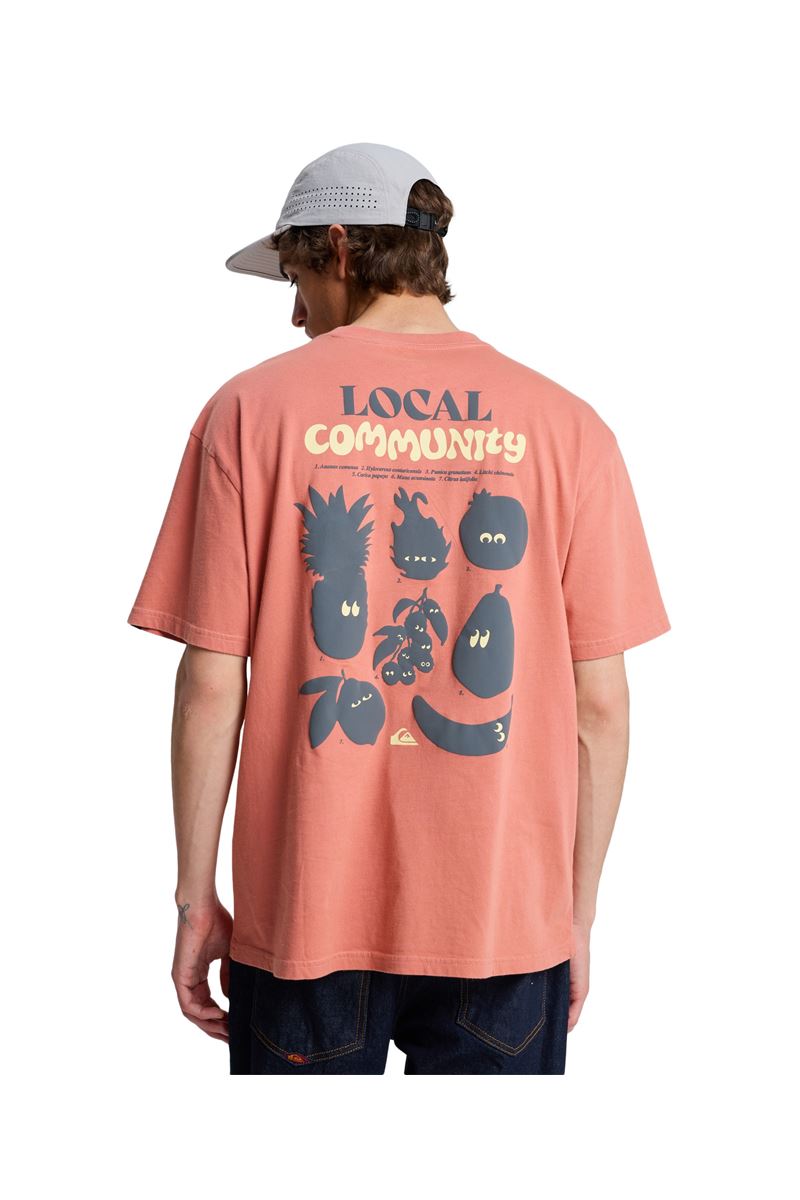 QUIKSILVER FRUITS TIDE Desert Sand - Solid ERKEK T-SHIRT