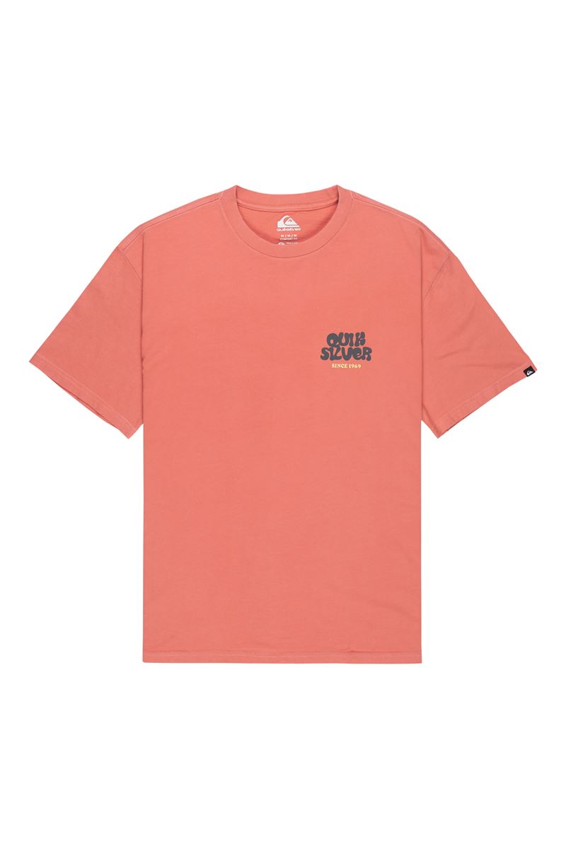 QUIKSILVER FRUITS TIDE Desert Sand - Solid ERKEK T-SHIRT