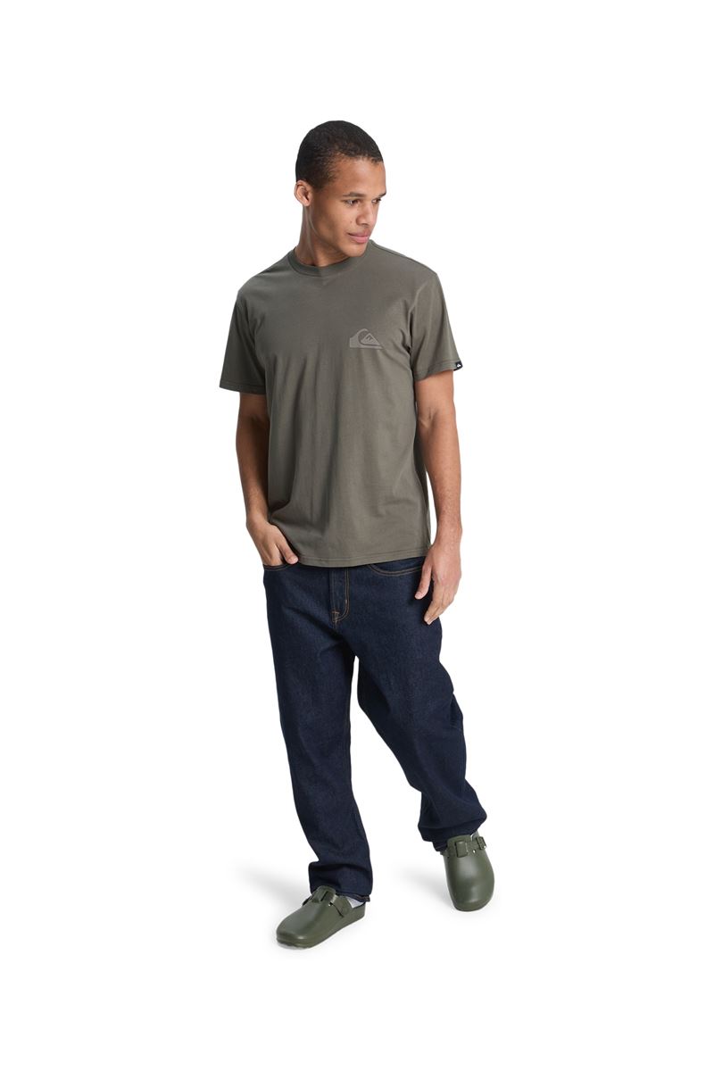 QUIKSILVER EV MINI LOGO Iris Leaf - Solid ERKEK T-SHIRT
