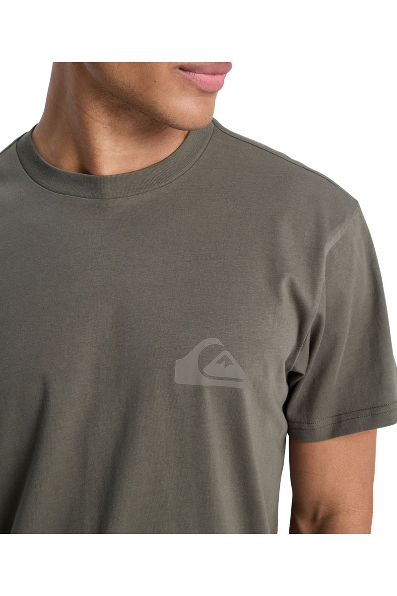 QUIKSILVER EV MINI LOGO Iris Leaf - Solid ERKEK T-SHIRT