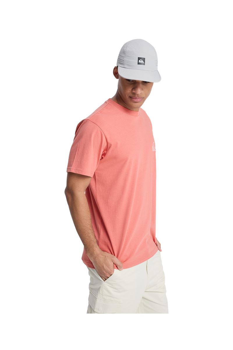 QUIKSILVER EV MINI LOGO Desert Sand - Solid ERKEK T-SHIRT