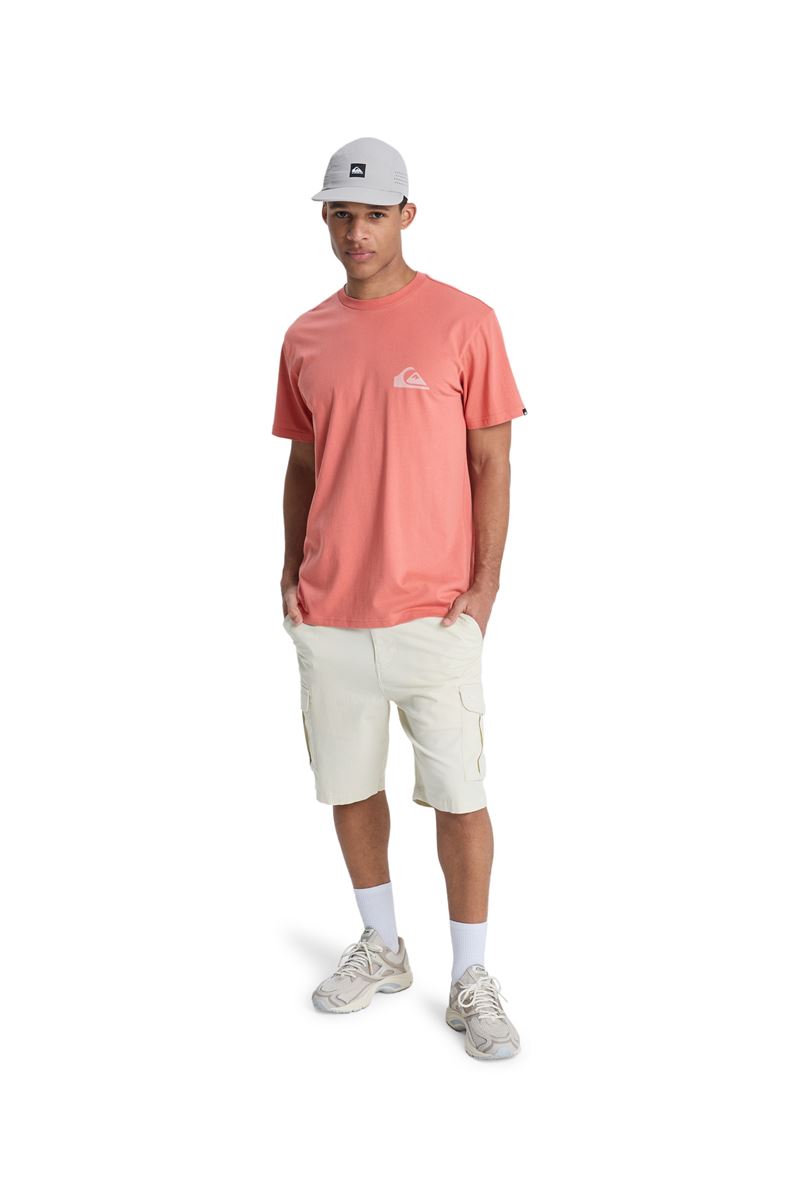 QUIKSILVER EV MINI LOGO Desert Sand - Solid ERKEK T-SHIRT