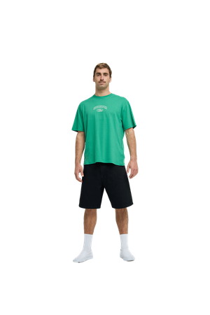 QUIKSILVER HARMONY SPIRAL Leprechaun - Solid ERKEK T-SHIRT